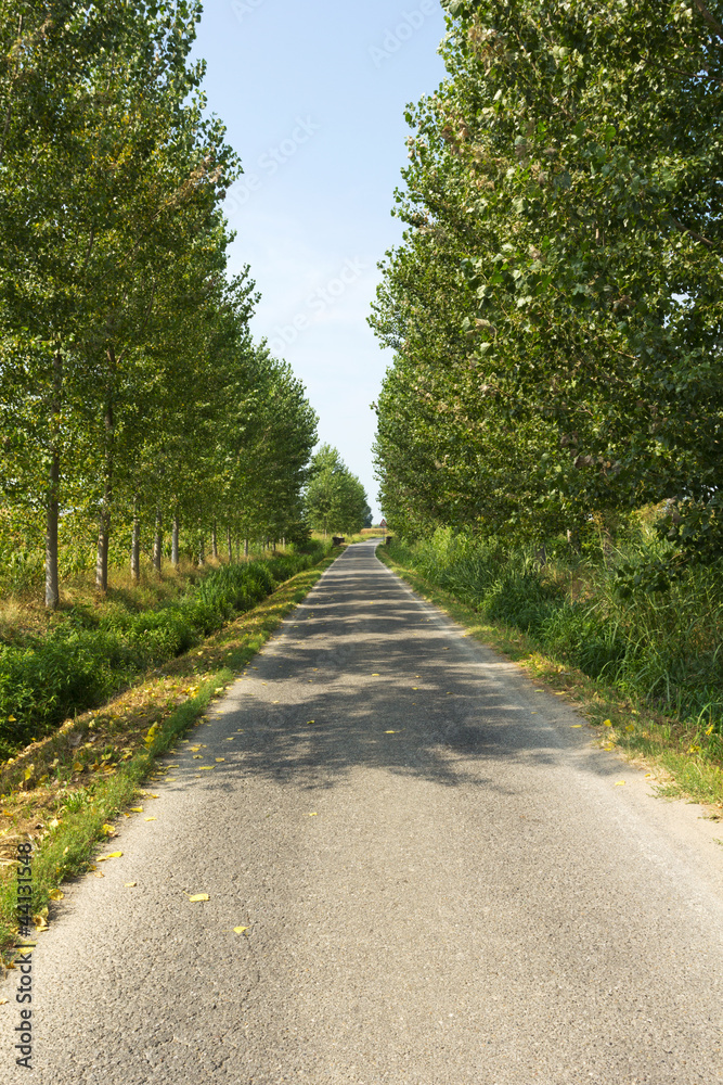 Fototapeta premium countryside