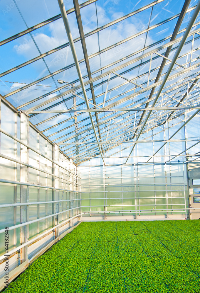 greenhouse greenhouse