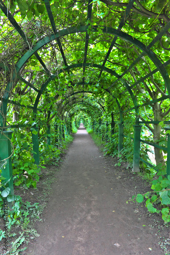 Green archway in a garden. Peterghof.St.Peterburg #44132367