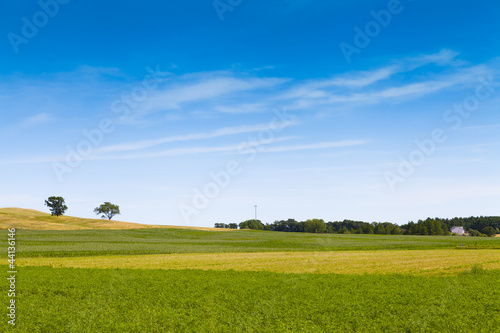 Quadro em tela American Farmland