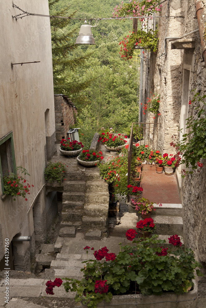 Fototapeta premium Carpinone, Molise- antico borgo medievale con castello