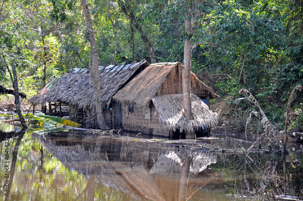 Swamp Hut