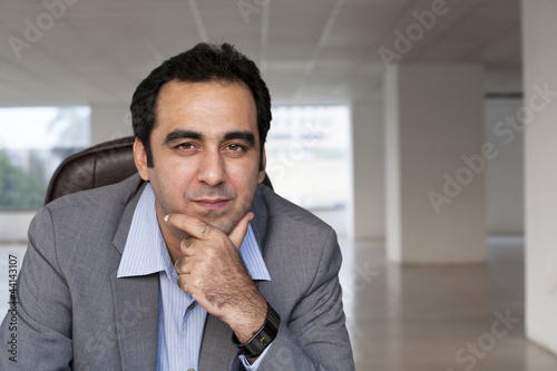 Portrait of a mature businessman