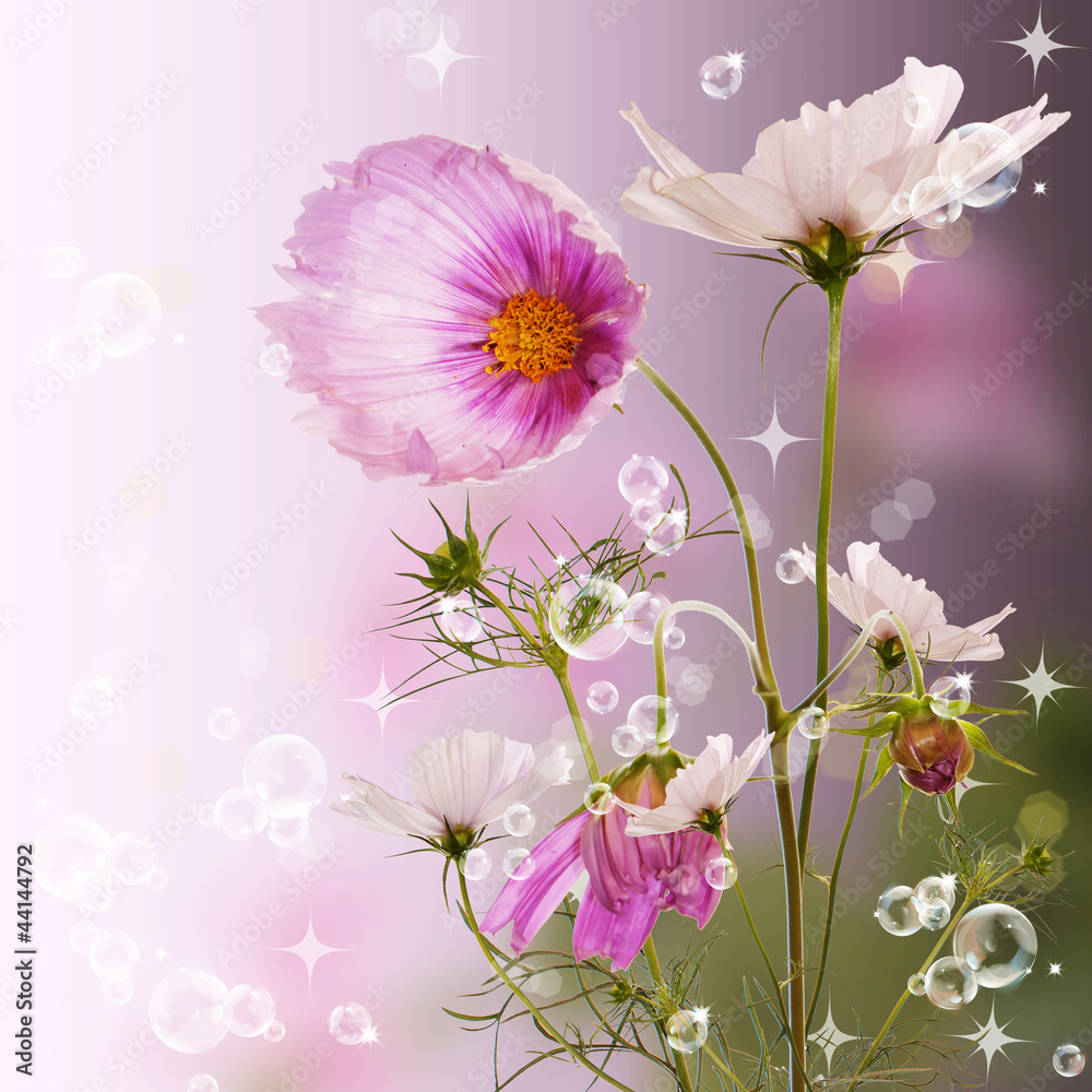 Obraz Piękne ozdobne wiosenne kwiaty