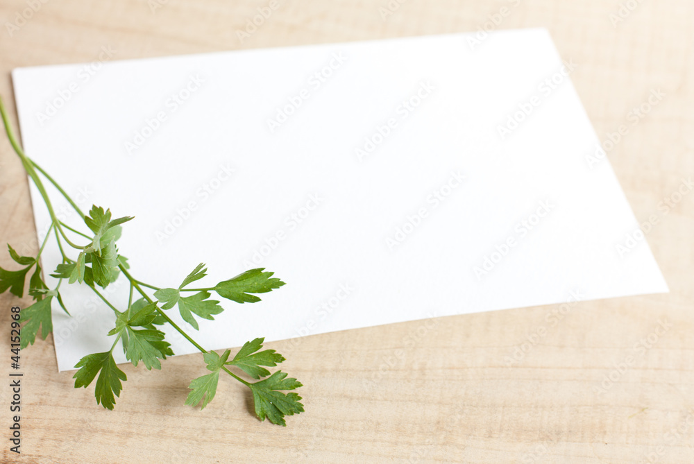 Piece of white paper on a wooden surface