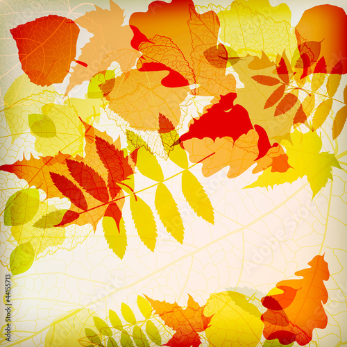 Bright colorful autumn leaves vector eps 10