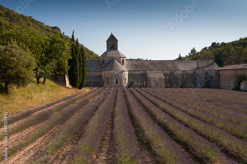 Abbey of Senanque in Gordes