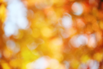 Autumn background