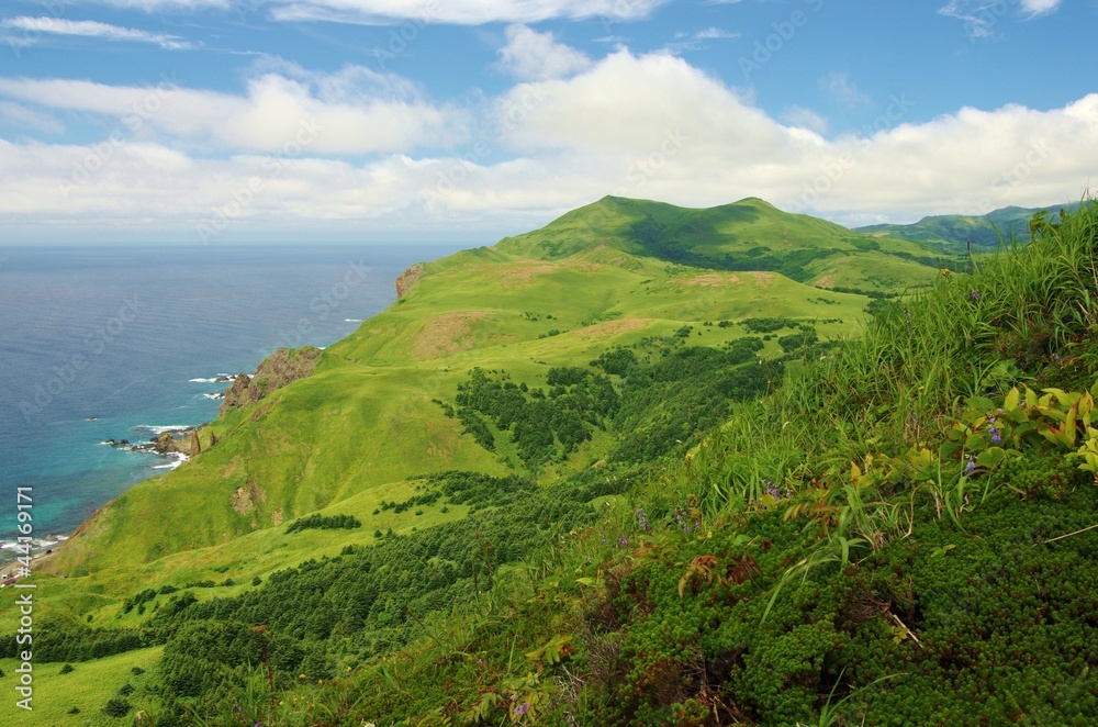 HILLY ISLAND Rebun island 礼文島の丘