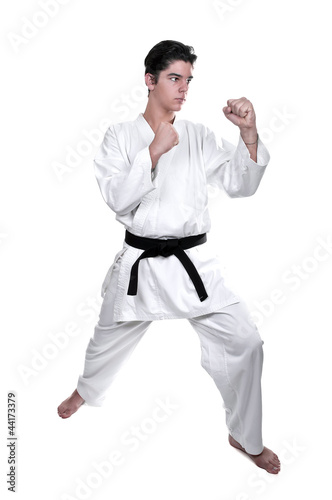 Karate male fighter young