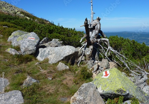 Im Riesengebirge photo