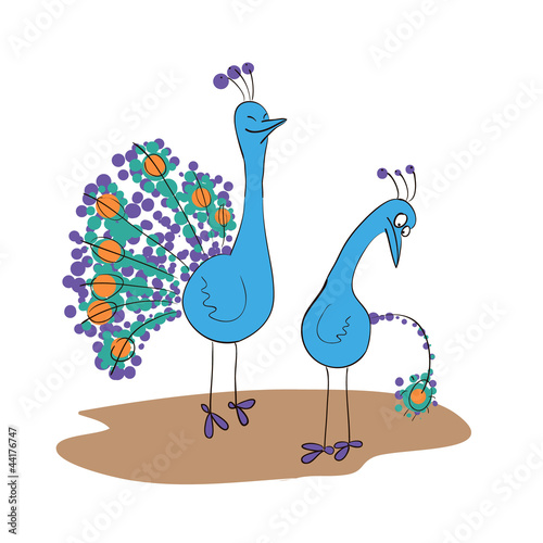 Two peacocks