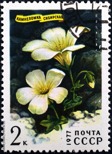 postage stamp