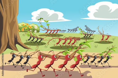 Working ants