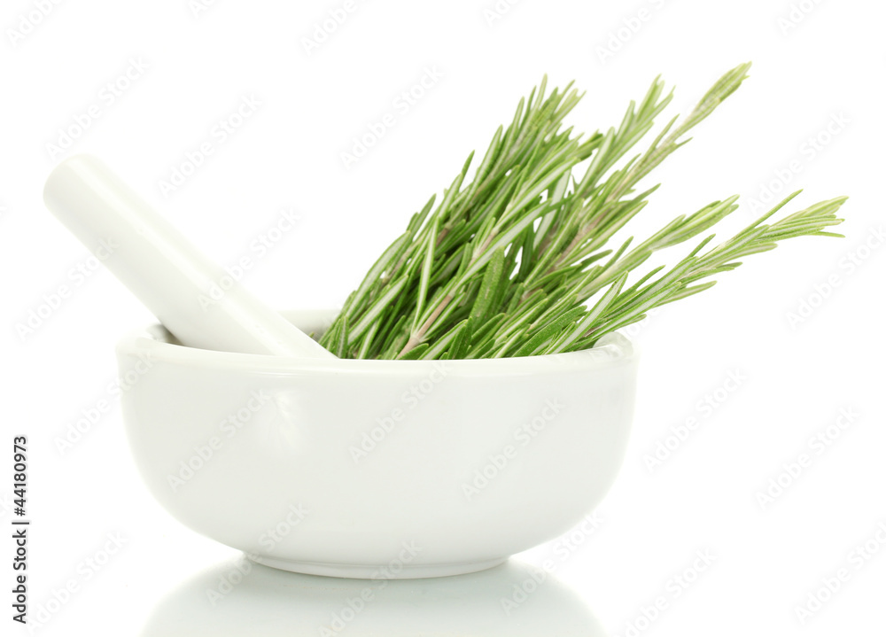 mortar with fresh green  rosemary isolated on white