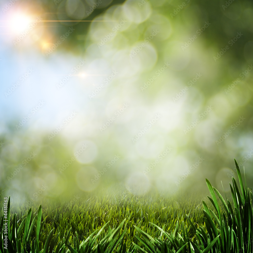 Abstract summer backgrounds with green grass and sun beam