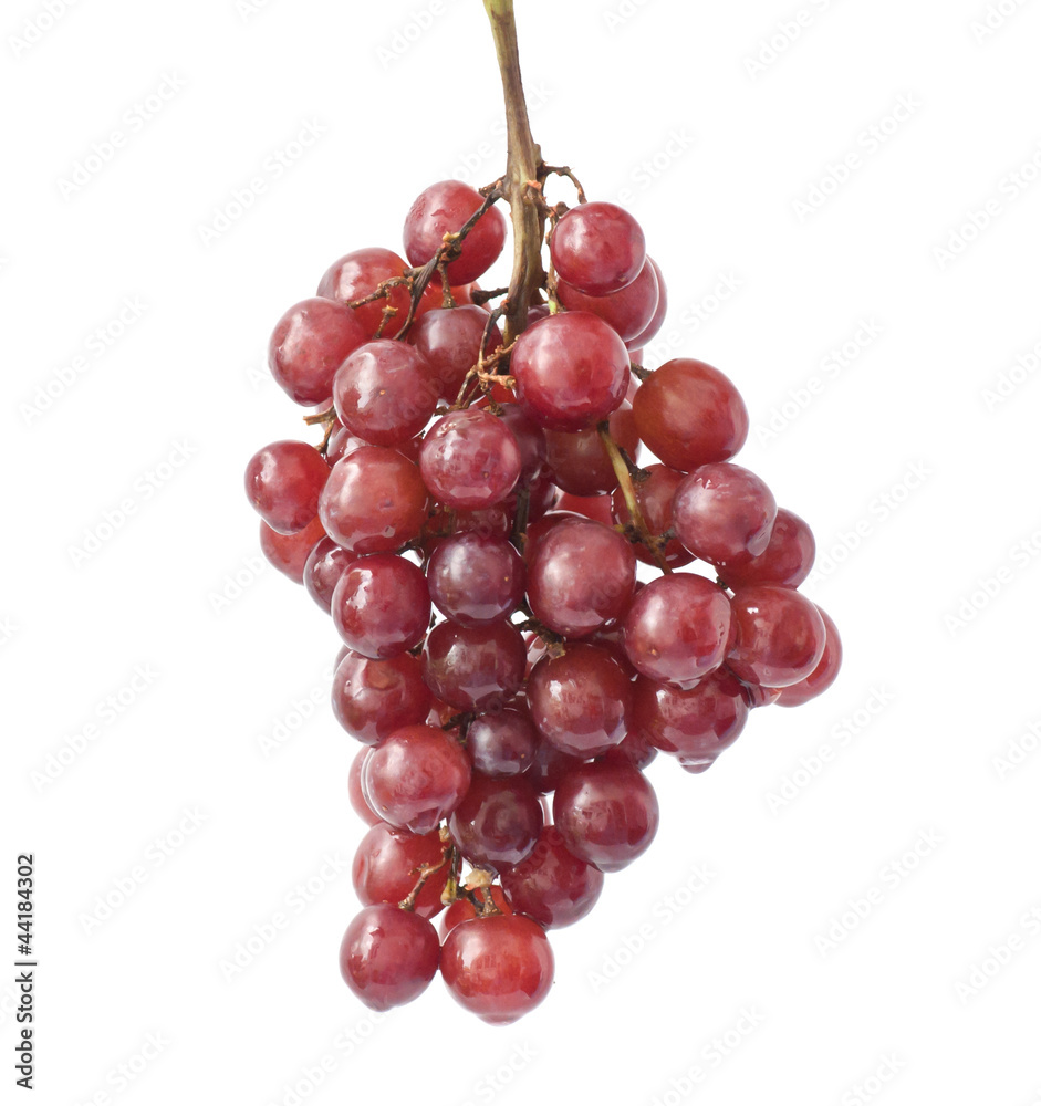 Fototapeta premium red grapes