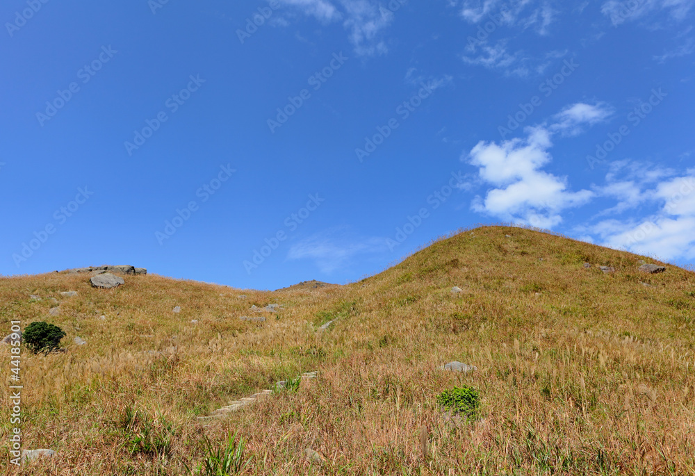 landscape of mountain