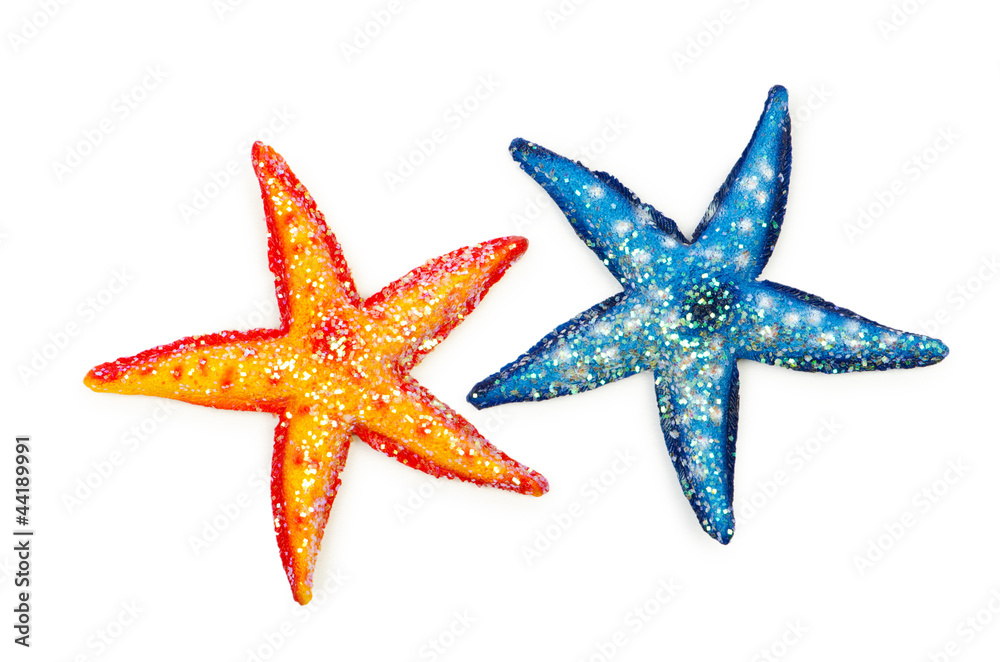 Sea stars isolated on the white Sea stars isolated on the white