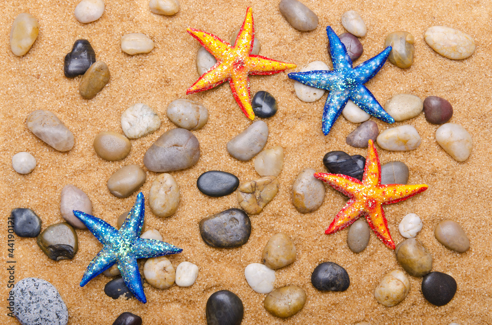 Sea stars isolated on the white