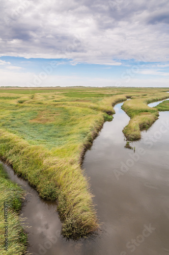 Küstenschutz - Salzwiesen an der Nordsee photo