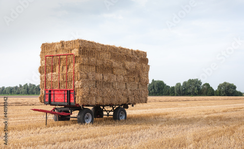 Canvas Print Agricultural wagon with straw packages in the field after harves