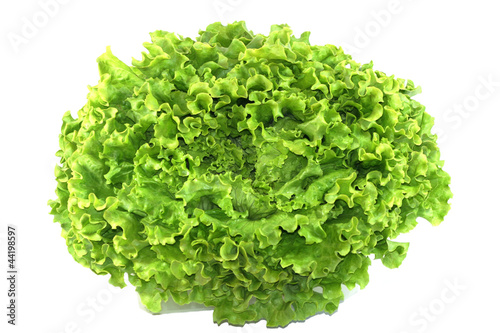 salade batavia photo