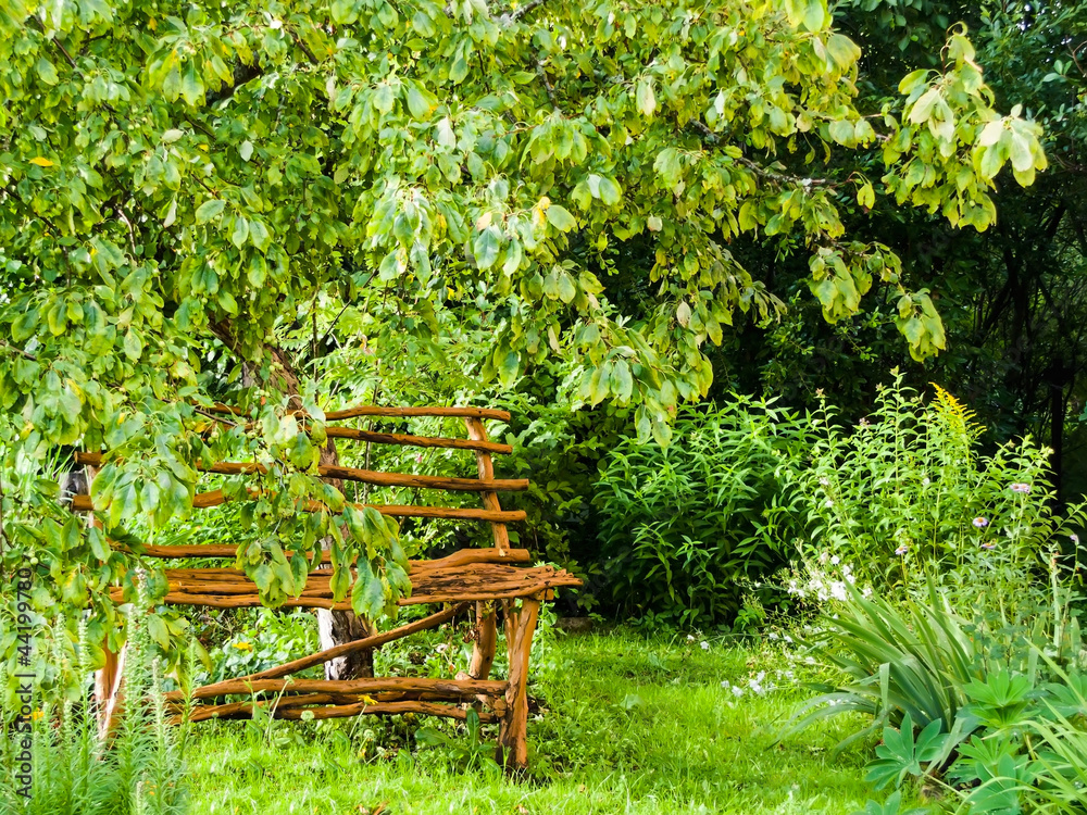 bench in the garden bench in the garden