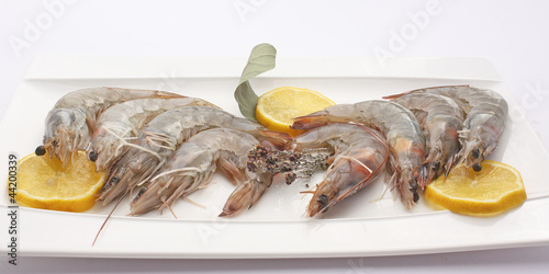 Crevettes crues photo