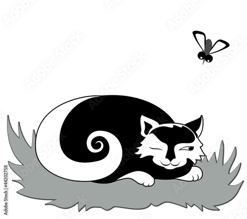 Cat preraring to catch gadfly