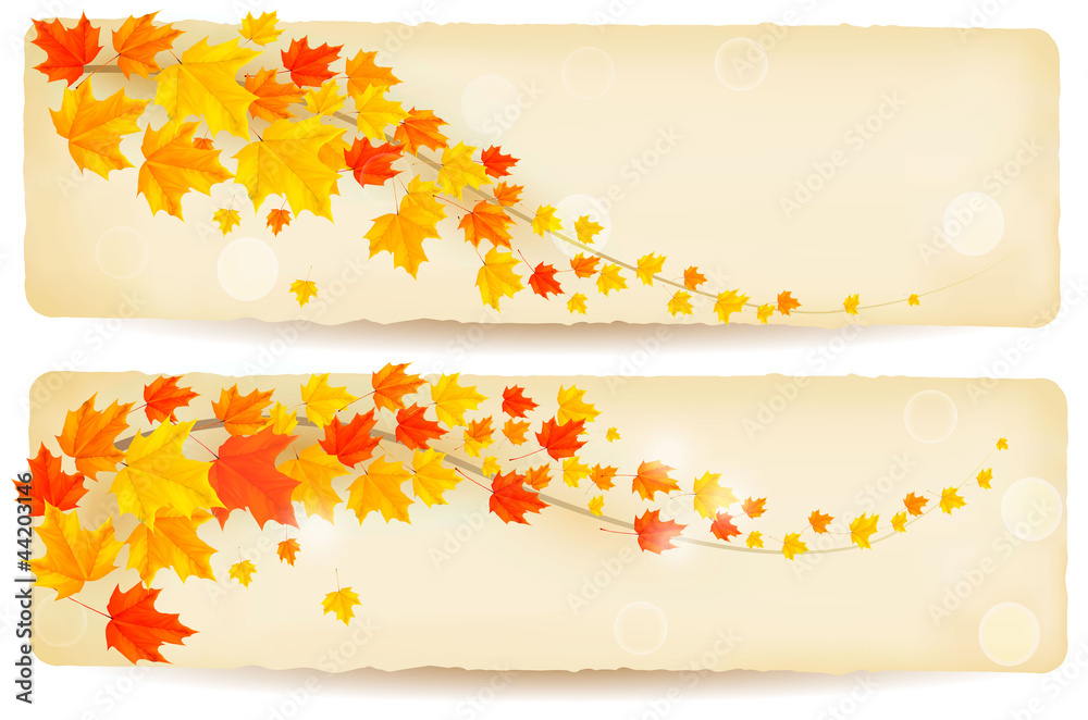 Set of autumn banners with colorful leaves  Vector