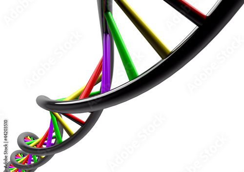 DNA STRAND genetic genome on white photo