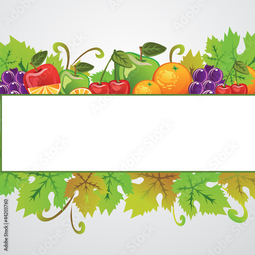 Fruits Banner