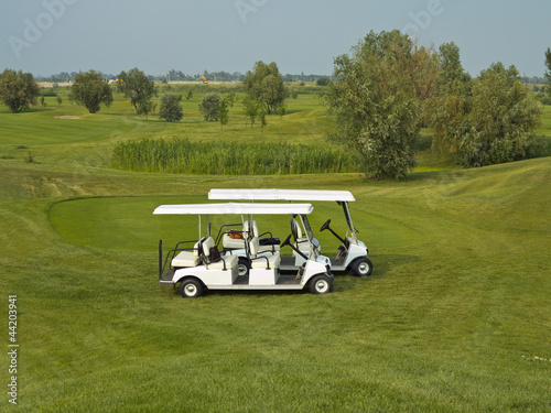 Quadro su tela Golf cars