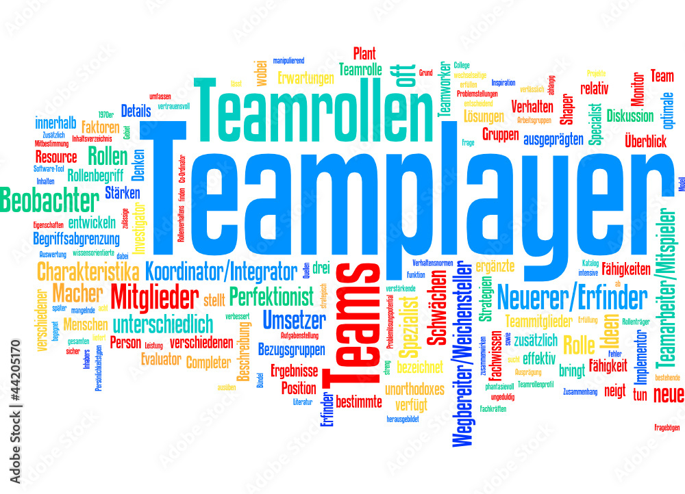 Teamplayer