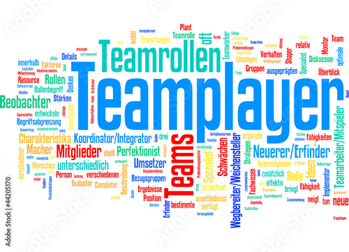 Teamplayer