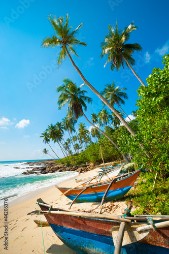 Untouched tropical beach
