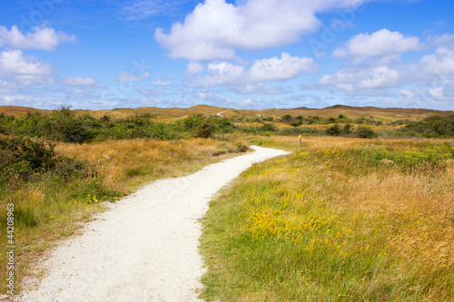 Eierland nature reserve on the island Texel in Netherlands