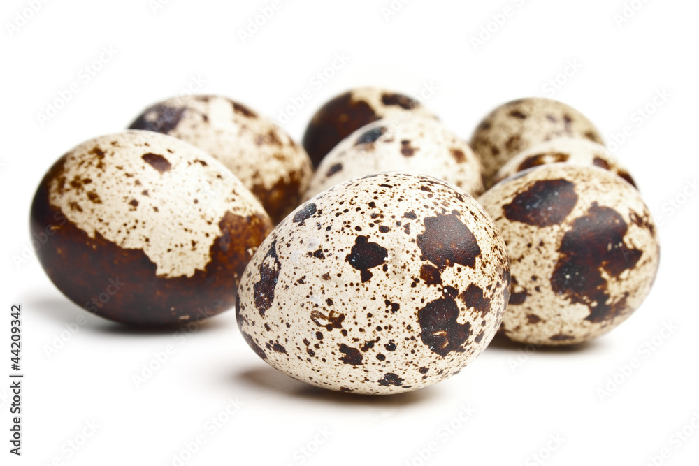 Group of quail eggs on the white background