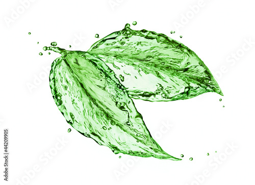 Green leaf