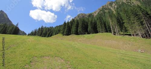 San Martino di Castrozza - estate photo