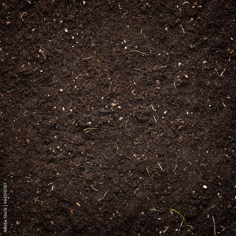 Soil background Soil background