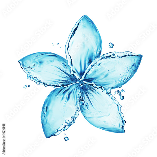 flower made of water splash