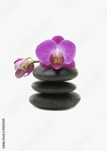 beautiful pink orchid and stones tower on white