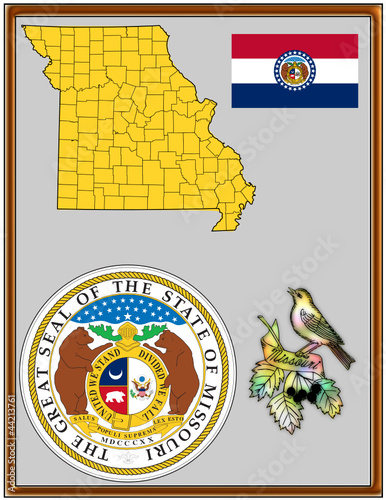 USA state Missouri flag map coat bird