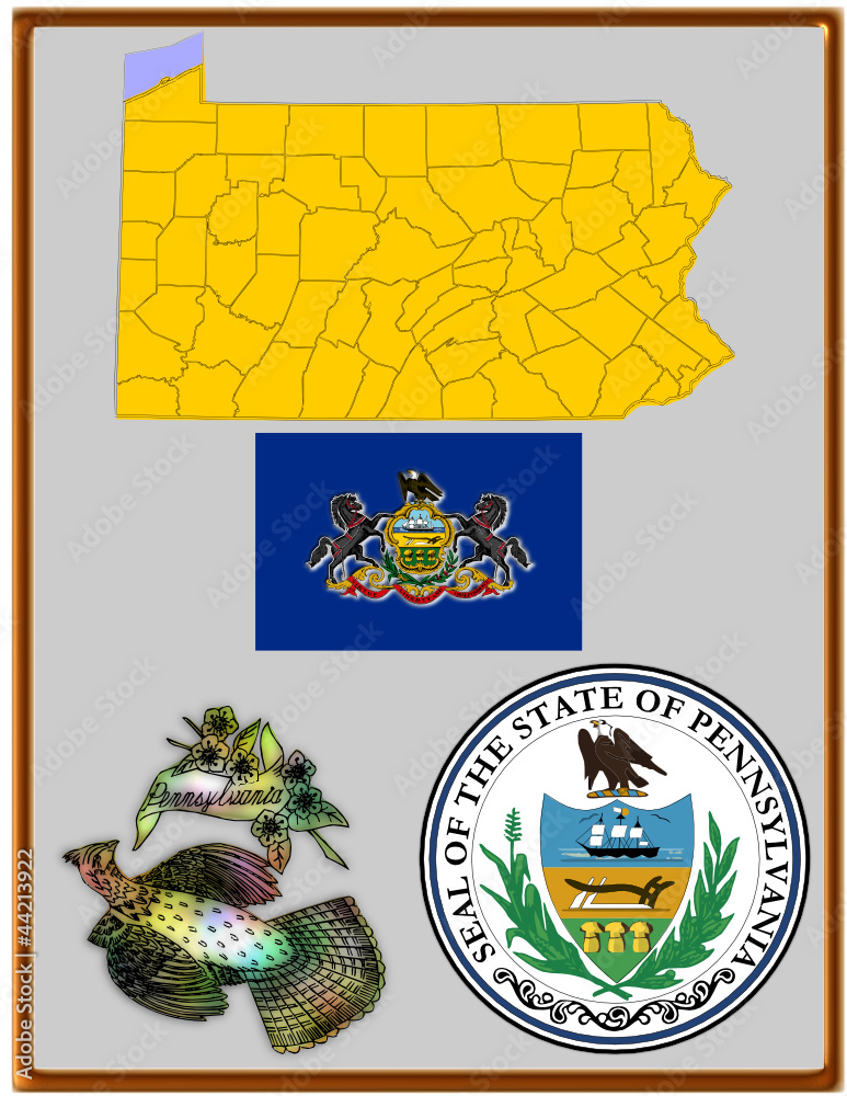 Obraz premium USA state Pennsylvania flag map coat bird