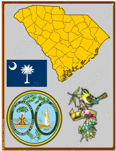 USA state South Carolina flag map coat bird