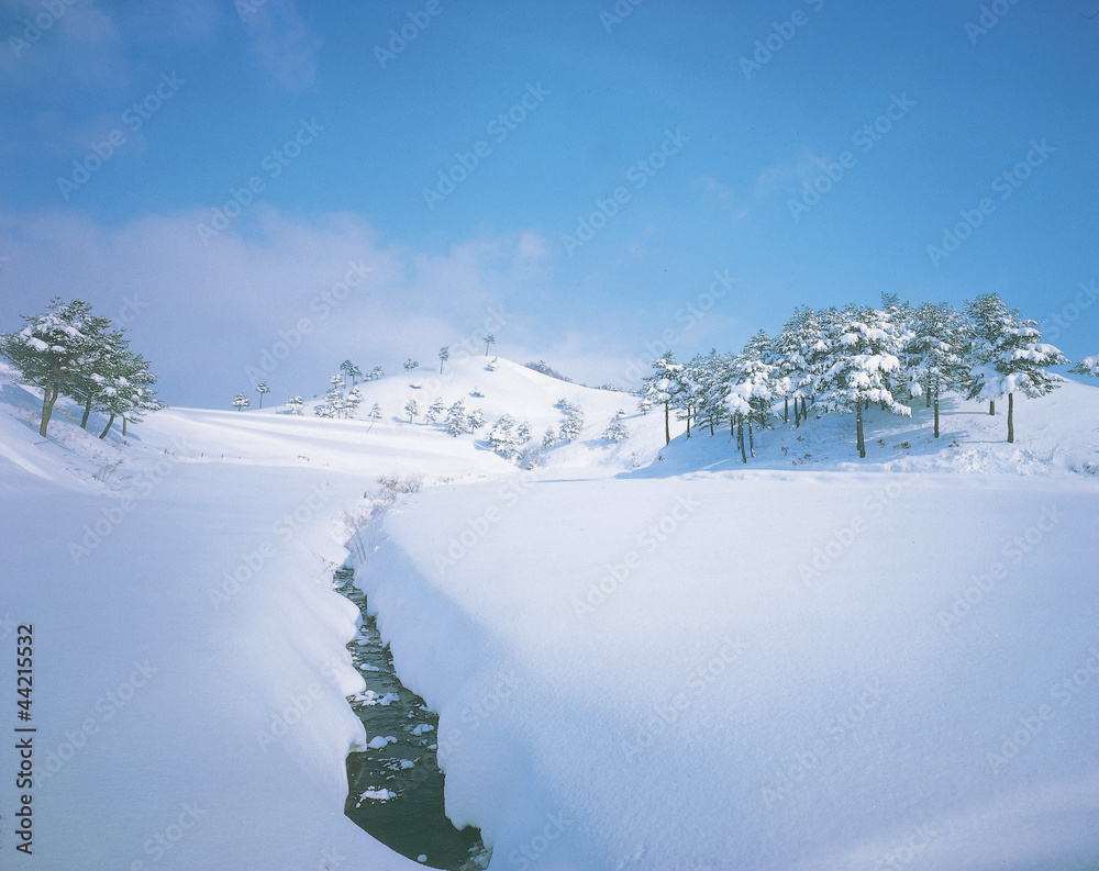 creek in the snowy mountain 