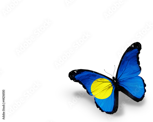 Palau flag butterfly, isolated on white background © suns07butterfly