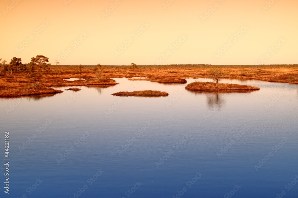Marsh landscape in Estonia with lakes and small islands in it.